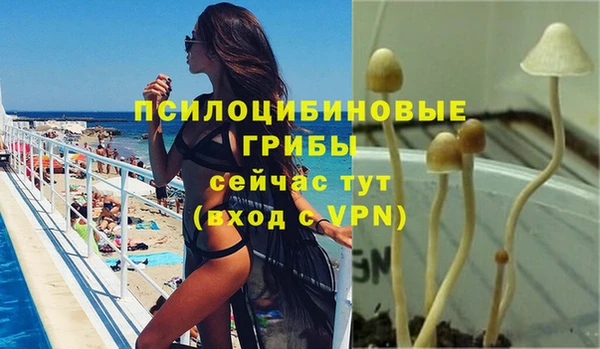 герыч Арсеньев