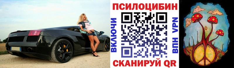 хочу наркоту  Вятские Поляны  Галлюциногенные грибы мухоморы 